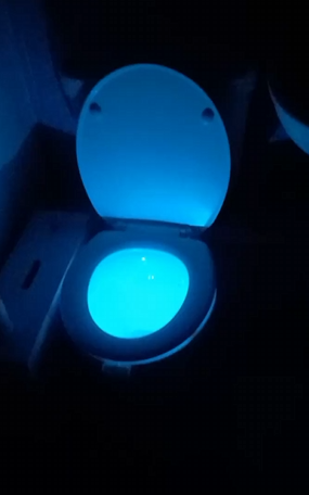 The LED Light Up Toilet Seat